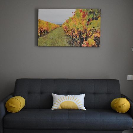 Coeur De Vignes Hotell Saint-Péray Rum bild
